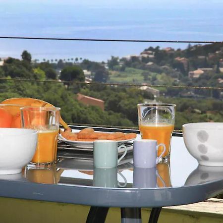 Cap Corse Uribellinu 2 Formule Petit Dejeuner Santa-Maria-di-Lota 外观 照片