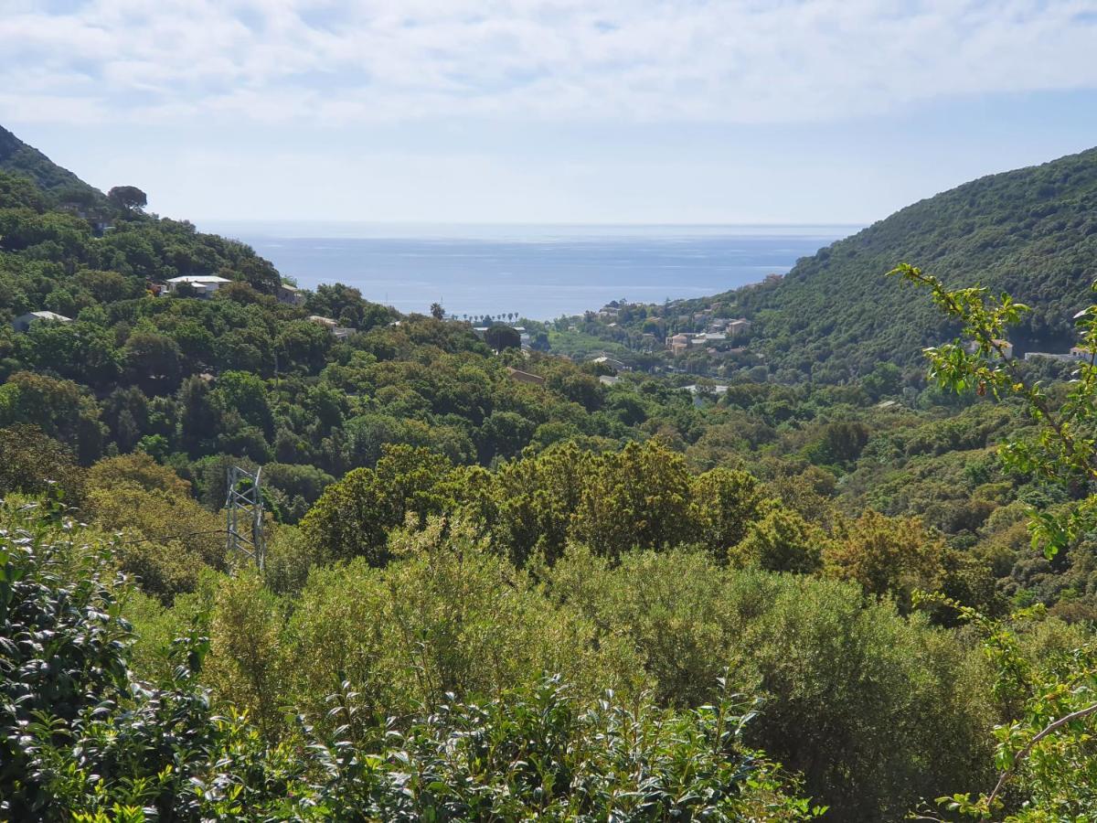 Cap Corse Uribellinu 2 Formule Petit Dejeuner Santa-Maria-di-Lota 外观 照片